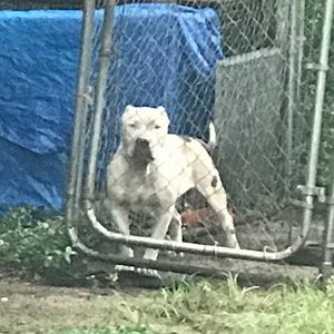 Meet your Posher, Earle